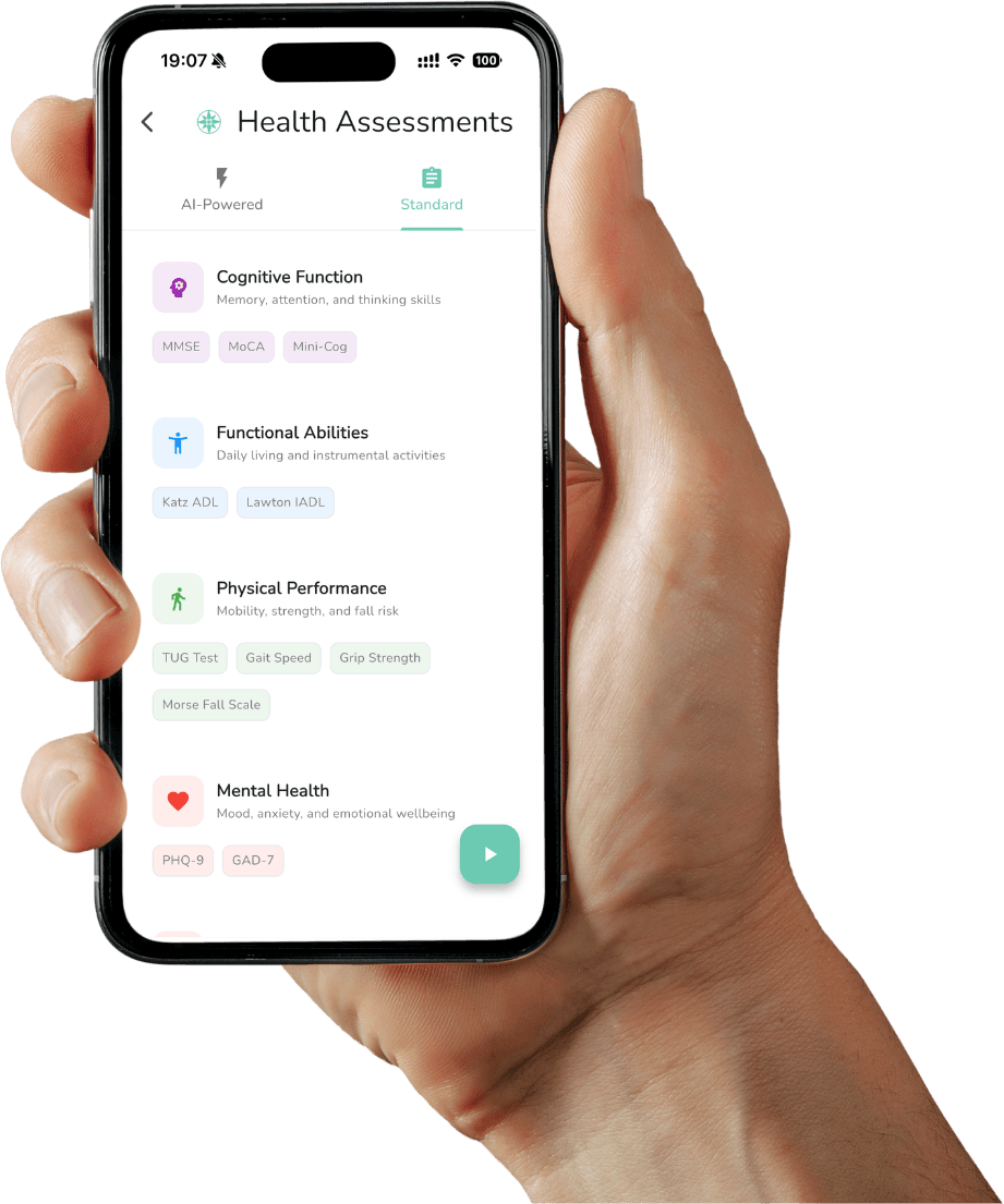 Assessment Interface Screenshot