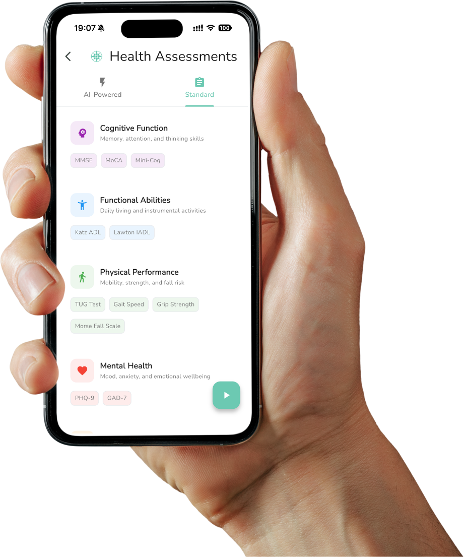 Assessment Interface Screenshot